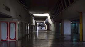 צילום: פלאש 90